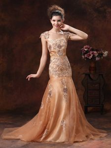 Square Neck Embroidery Brown Prom Dress in Leicestershire