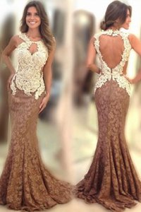 Perfect Mermaid Scoop Lace Sleeveless Appliques Backless Evening Dress with Brown Sweep Train