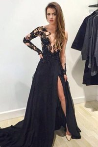 Fitting Tulle Long Sleeves Prom Party Dress Brush Train and Lace and Appliques