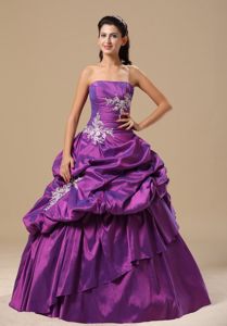 Appliques and Pick ups Accent Purple Taffeta Quinces Dresses