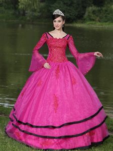 Appliqued Hot Pink Organza Dress for Quinceanera with Long Sleeves