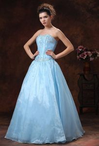 Light Blue Organza A-line Floor Length Beaded Prom Celebrity Dress