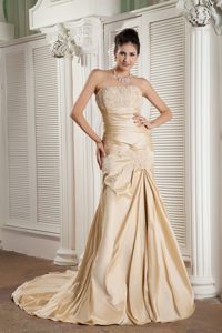 Champagne Strapless Prom Homecoming Dresses Appliques Court Train