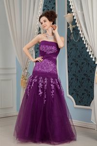 Tulle Column Strapless Embroidery Prom Dress Color for Choice