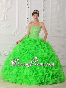 Spring Green Ball Gown Strapless Organza Beading 2014 Quinceanera Dress with Ruffles