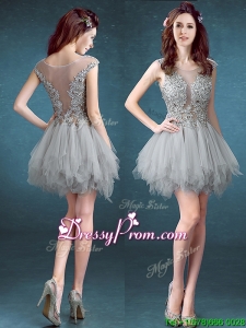 Gorgeous Scoop Appliques and Ruffles Dama Dress in Grey