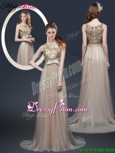 Luxurious Brush Train Prom Dresses with Appliques and Bowknot