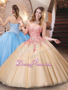 Classical Big Puffy Champagne Quinceanera Dress with Appliques and Beading