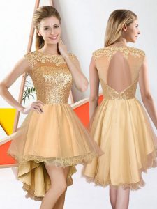 Fantastic Sleeveless Organza High Low Backless Dama Dress in Champagne with Beading and Lace