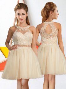 Unique Sleeveless Tulle Knee Length Zipper Quinceanera Dama Dress in Champagne with Lace