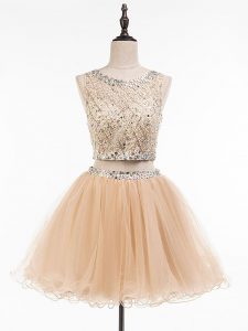 Ideal Champagne Side Zipper Prom Evening Gown Beading Sleeveless Mini Length