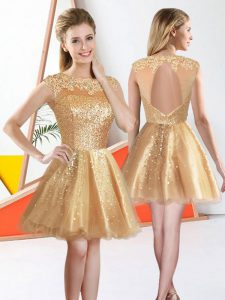 Great Champagne Bateau Neckline Beading and Lace Quinceanera Court Dresses Sleeveless Backless