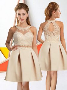 Modest Sleeveless Knee Length Lace Zipper Quinceanera Court Dresses with Champagne