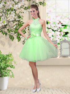 Modern Halter Top Sleeveless Lace Up Quinceanera Court Dresses Tulle
