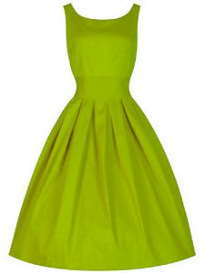 Olive Green Scoop Neckline Ruching Quinceanera Dama Dress Sleeveless Lace Up