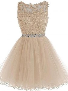 Champagne Sleeveless Tulle Zipper Evening Dress for Prom and Party and Sweet 16
