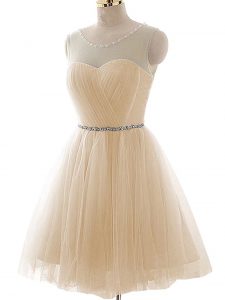 Floor Length A-line Sleeveless Champagne Lace Up