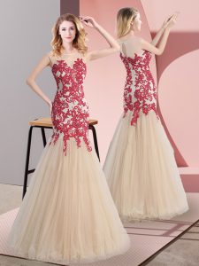 Graceful Sleeveless Zipper Floor Length Appliques Dress for Prom