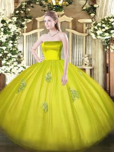 Customized Appliques Quinceanera Dresses Olive Green Zipper Sleeveless Floor Length