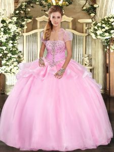 Baby Pink Ball Gowns Organza Strapless Sleeveless Appliques Floor Length Lace Up Ball Gown Prom Dress