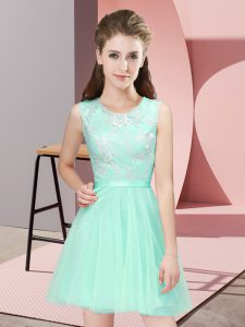 Superior Sleeveless Side Zipper Mini Length Lace Quinceanera Court Dresses