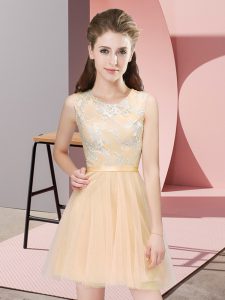Admirable Champagne Sleeveless Tulle Side Zipper Quinceanera Court Dresses for Prom and Party and Wedding Party