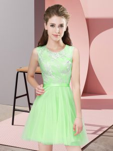 Fabulous Mini Length Dama Dress for Quinceanera Scoop Sleeveless Side Zipper