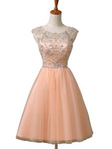 Peach Sleeveless Tulle Zipper Evening Dress for Prom and Party