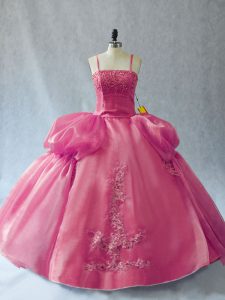 Ideal Floor Length Pink Quinceanera Gown Organza Sleeveless Appliques
