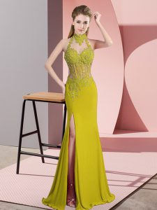 Extravagant Green Column/Sheath Chiffon Halter Top Sleeveless Lace and Appliques Floor Length Backless Dress for Prom