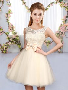 Amazing Mini Length A-line Sleeveless Champagne Quinceanera Court Dresses Lace Up