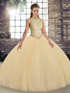 Exquisite Sleeveless Embroidery Lace Up Quince Ball Gowns