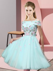 Apple Green Empire Appliques Damas Dress Lace Up Tulle Short Sleeves Knee Length