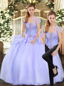Amazing Strapless Sleeveless Organza Vestidos de Quinceanera Beading and Appliques Lace Up