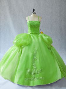 Sleeveless Appliques Floor Length Sweet 16 Quinceanera Dress