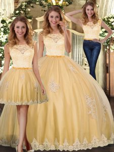 Custom Design Gold Clasp Handle Sweet 16 Quinceanera Dress Lace and Appliques Sleeveless Floor Length