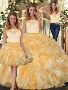 Beautiful Organza Sleeveless Floor Length Sweet 16 Dress and Lace and Ruffles