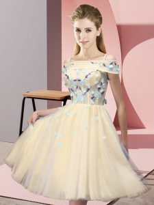 Gold Lace Up Quinceanera Court Dresses Appliques Short Sleeves Knee Length