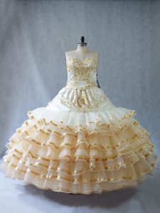 Enchanting Champagne Sleeveless Organza Lace Up Vestidos de Quinceanera for Sweet 16 and Quinceanera
