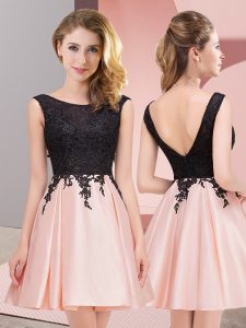 Gorgeous Mini Length A-line Sleeveless Pink Quinceanera Dama Dress Zipper