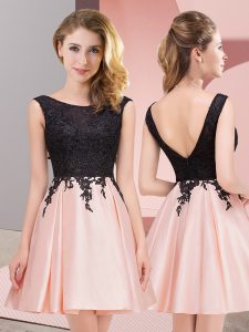 Gorgeous Mini Length A-line Sleeveless Pink Quinceanera Dama Dress Zipper