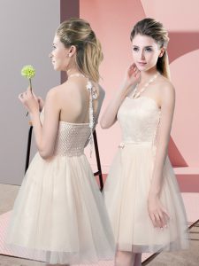Champagne A-line Tulle Halter Top Sleeveless Lace Mini Length Side Zipper Prom Dress