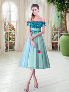 Luxury Aqua Blue Off The Shoulder Neckline Appliques Homecoming Dress Sleeveless Lace Up