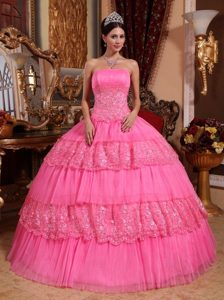 Appliques Strapless Floor-length Pink Organza and Lace Quinceanera Dress