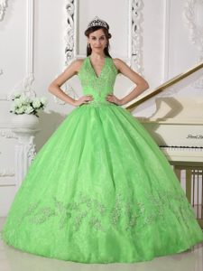 Halter Taffeta and Organza Appliques Quinceanera Dress in Spring Green