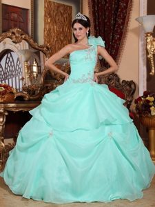 One Shoulder Organza Appliques Quinceanera Dress in Apple Green