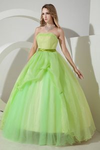 Ruching Spring Green A-line Strapless Organza Dresses For a Quince