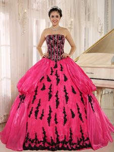 Hot Pink Strapless Organza Embroidery Pick-ups Dress For Quinceanera