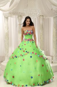 Spring Green Strapless Floor-length Appliques Taffeta Quninceaera Gown