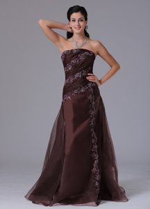 Brown Strapless Arkansas Column Prom Gown Dress With Appliques